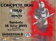 concert concrete dog trud brute underworld club