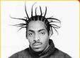 concert coolio in crema summer club