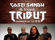 concert costi sandu trupa tribut