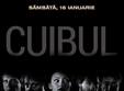 concert cuibul