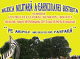 concert de muzica de fanfara