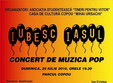 concert de muzica pop iubesc iasul