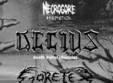 concert decius si goretex la aiud