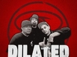concert dilated peoples in silver church