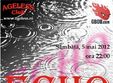 concert echo in ageless club