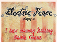 concert electric fence in le studio club
