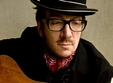 concert elvis costello la sala palatului