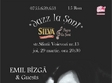 concert emil bizga in papa la soni