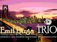 concert emil bizga trio in jazzbook cafe