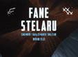 concert fane stelaru