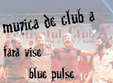 concert fara vise blue pulse trupa verde