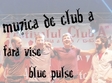 concert fara vise blue pulse trupa verde in club a