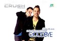concert fly project in mamaia