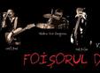 concert foisorul de foc in club live