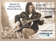 concert folk florin davitoiu in pub s garden