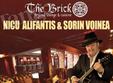 concert folk nicu alifantis la the brick
