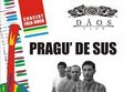 concert folk pragu de sus timisoara