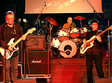 concert george baicea electric blues