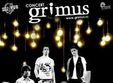 concert grimus in irish music pub