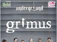 concert grimus in underground pub