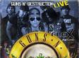 concert guns n destruction