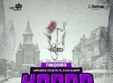 concert haarp cord la timisoara