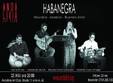 concert habanegra in andalivia art club