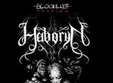 concert haboryn si anomaly
