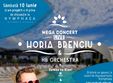 concert horia brenciu hb orchestra