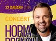 concert horia brenciu hb orchestra la beraria h