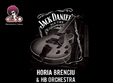 concert horia brenciu si hb orchestra timisoara