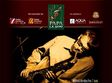 concert iordache band in vama veche