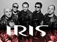 concert iris