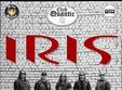 concert iris la quantic