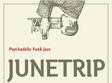 concert junetrip in cluj napoca