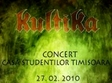 concert kultika si faceplant la timisoara