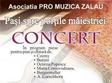 concert la muzeul de arta ioan sima zalau