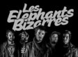 concert les elephants bizarres 