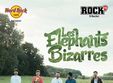 concert les elephants bizarres