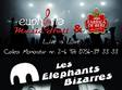 concert les elephants bizarres in cluj napoca