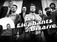 concert les elephants bizarres in cluj napoca