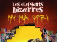 concert les elephants bizarres in sibiu