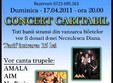 concert live