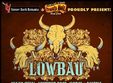 concert lowbau in private hell