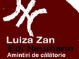 concert luiza zan si edi neumann in passage club