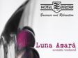 concert luna amara in botosani