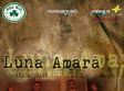 concert luna amara in craiova