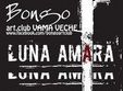 concert luna amara in vama veche