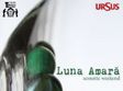concert luna amara la suceava