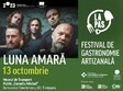 concert luna amara timi oara